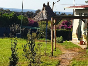 Laaouina tijane
